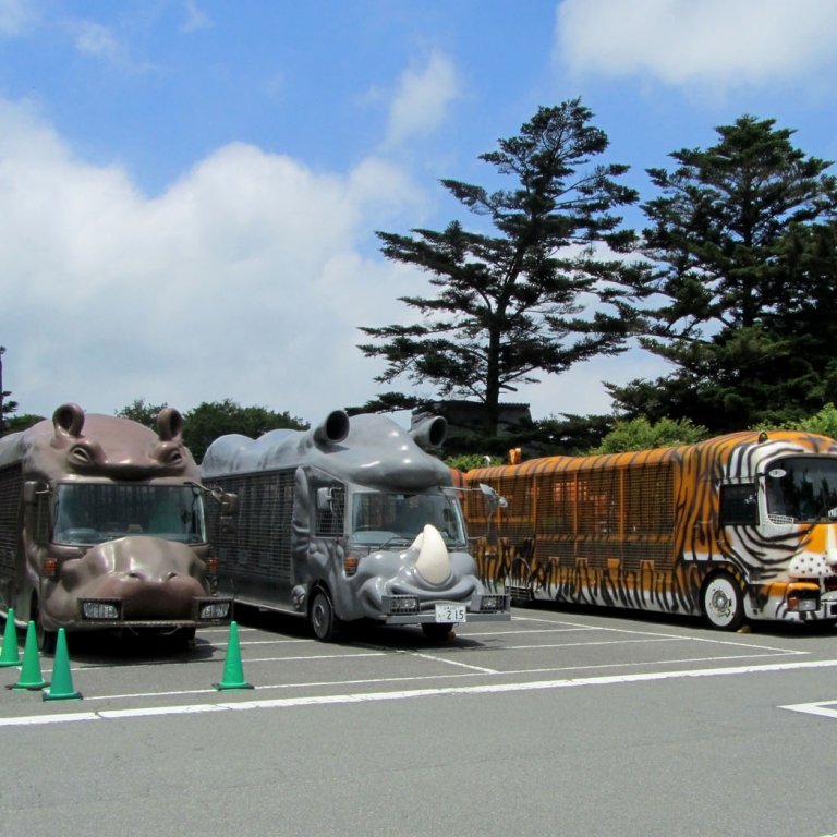Автобусы для перевозки посетителей в ФудзиСафари парке; Сидзуока