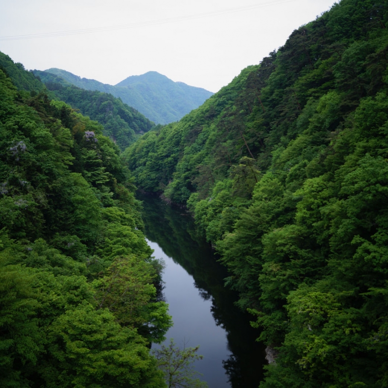 Типично японские - ярко-зеленые горы; Гумма