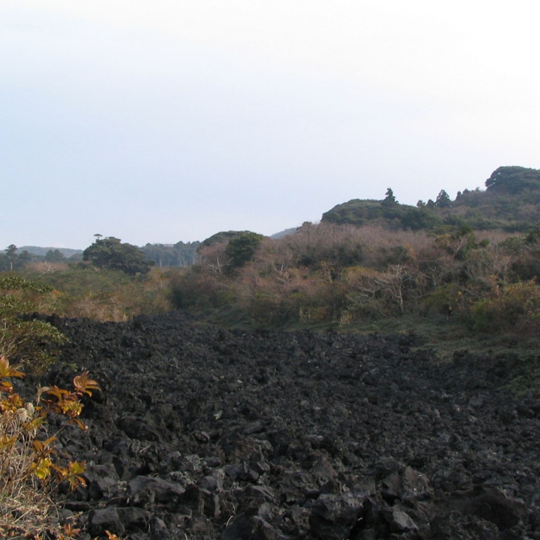 Последствия недавнего извержения вулкана на о.Оосима; Токио