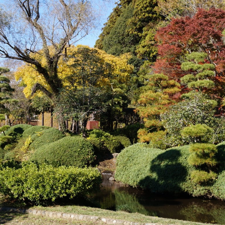 Яркие краски и ухоженность - признак японских парков; Ибараки
