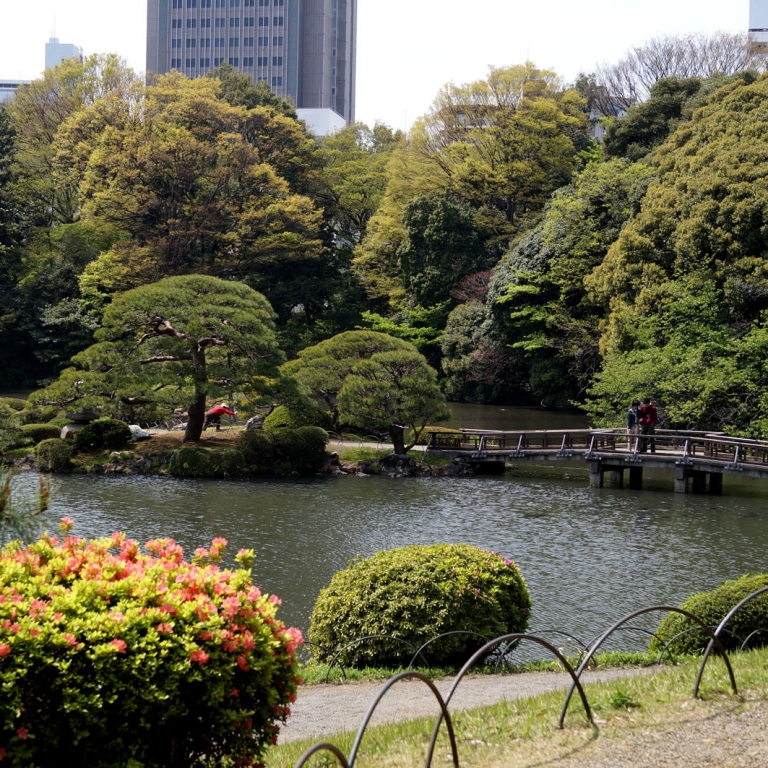 Один из главных парков страны - СиндзюкуГёэн; Токио