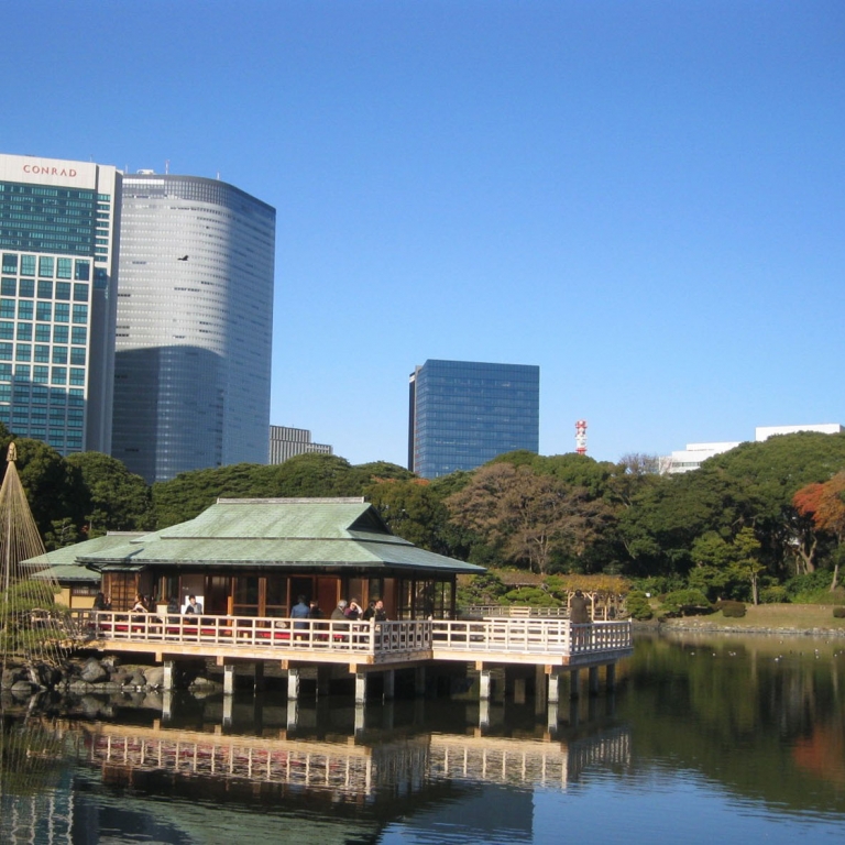 Парк Хамарикю, освещаемый декабрьским солнцем; Токио