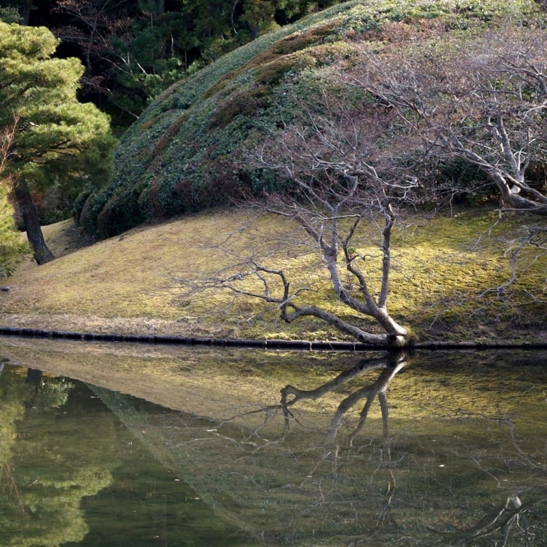 Одно из самых красивых мест древней столицы - вилла СюгакуИн - запоминается своим парком; Киото