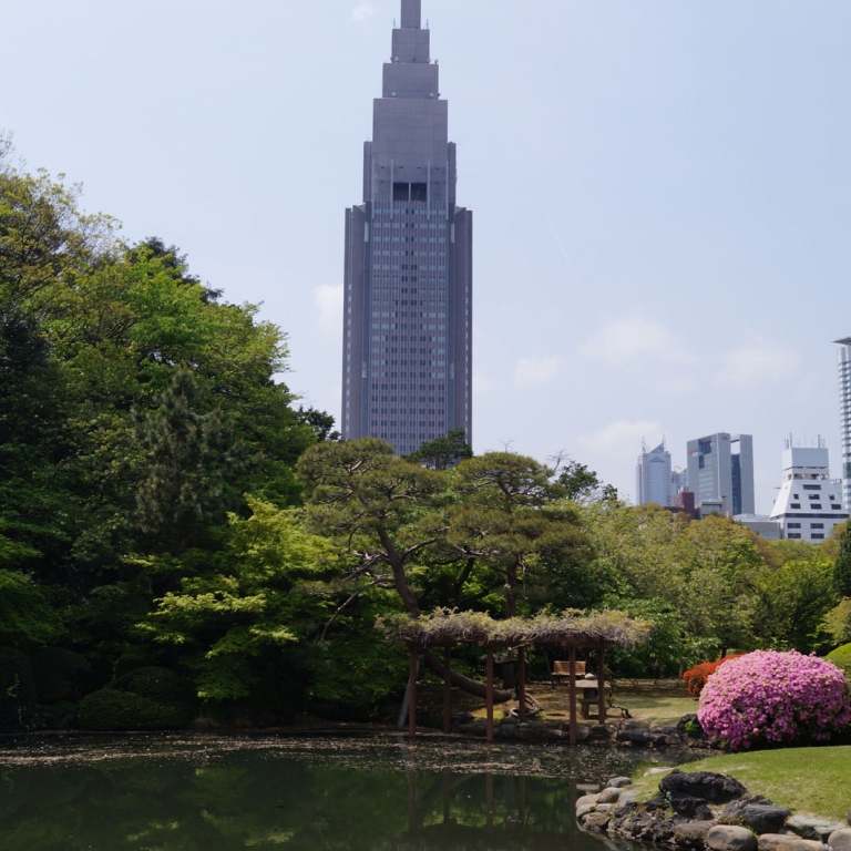 Вид на небоскреб Ёёги из парка СиндюкуГёэн; Токио