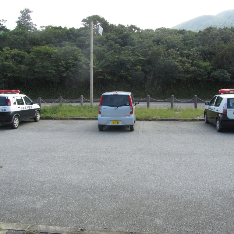 Моя маленькая машинка, припаркованная случайно между двумя полицейскими машинами; Окинава