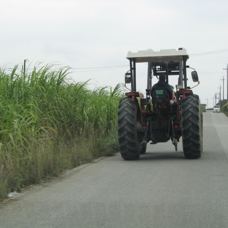 Моя машина пытается обогнать трактор, занятый на уборке сахарного тростника; Окинава