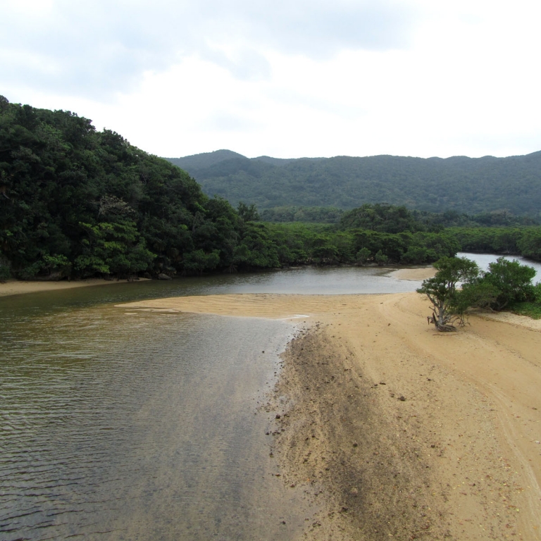 Устье реки на о.ИсигакиДзима; Окинава