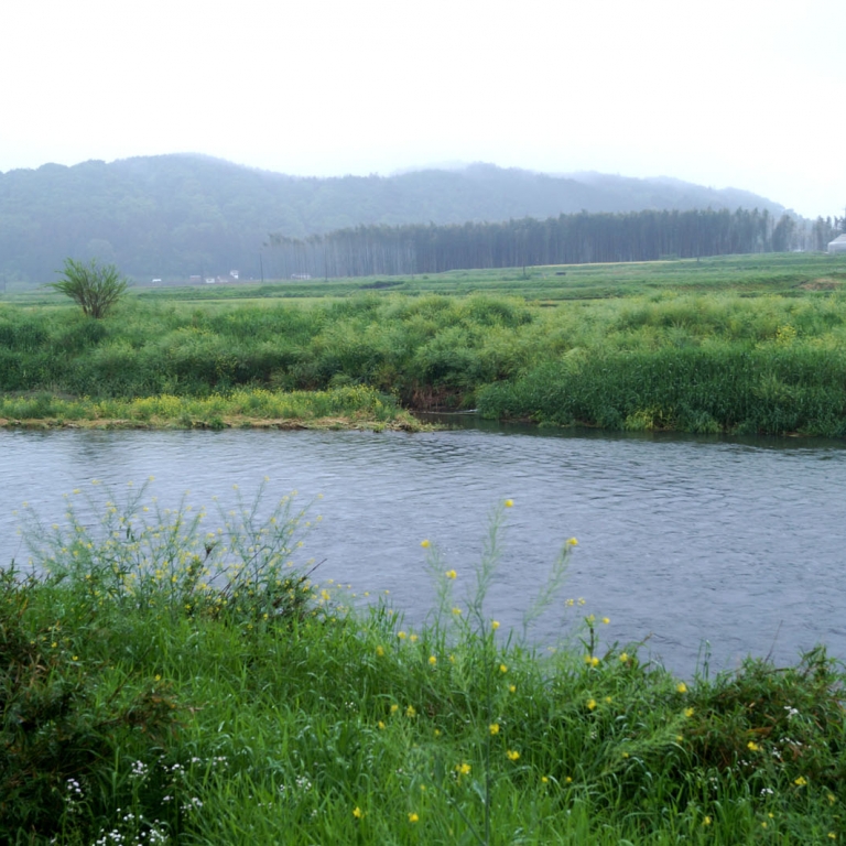 Равнинная река НакаГава в районе Ооганэ Онсэн; Тотиги