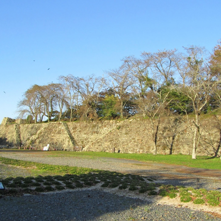 Руины замка Цуяма; Окаяма