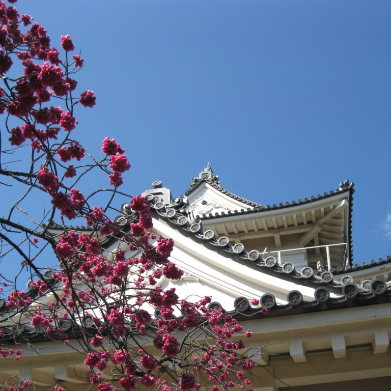 Замок Одавара и весеннее цветение; Канагава