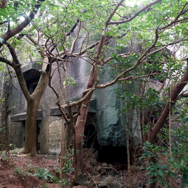 Проросшее лесом за 70 лет военное укрепление на о.Титидзима; Токио