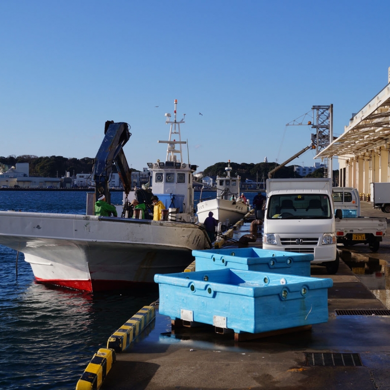 Рыбный терминал порта Миура; Канагава