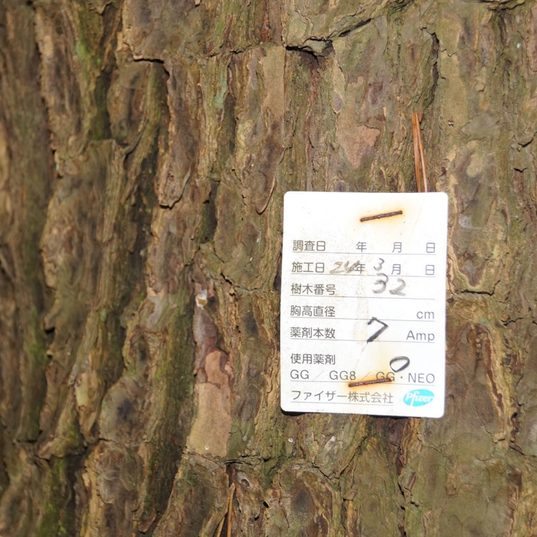 Японская пунктуальность - информация по каждому дереву в этом парке четко указана на табличке; Ибараки