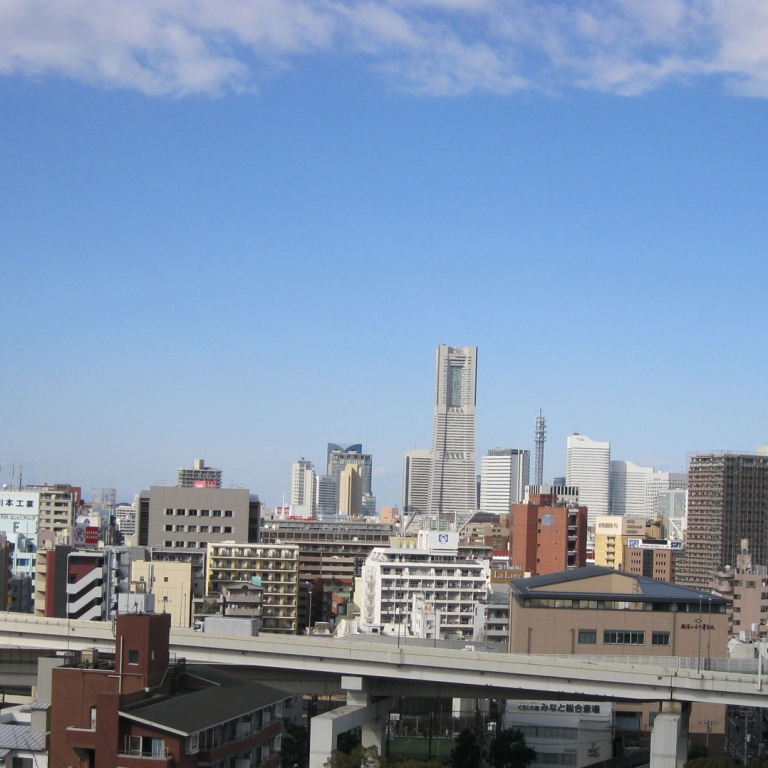 Пронизывающие мегаполис на уровне второго-третьего этажей платные автодороги; Токио