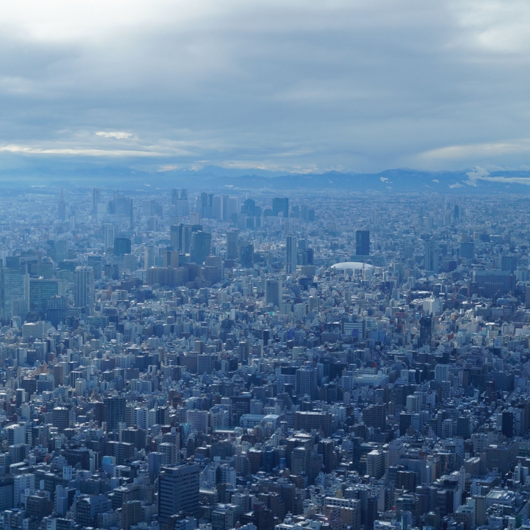 Столица страны, вид с башни Скай Три; Токио