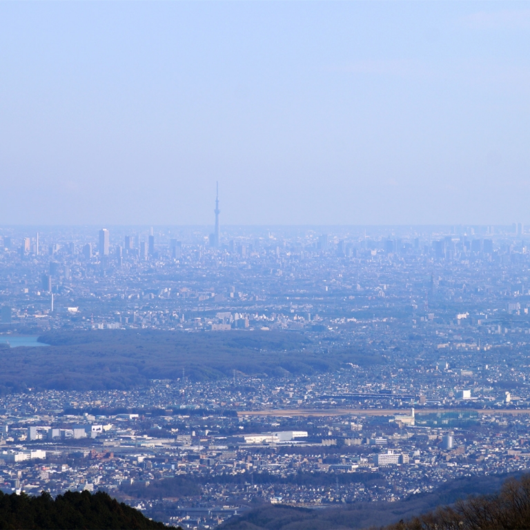 Башная Скай Три и весь центральный Токио с горы Митакэ, Токио