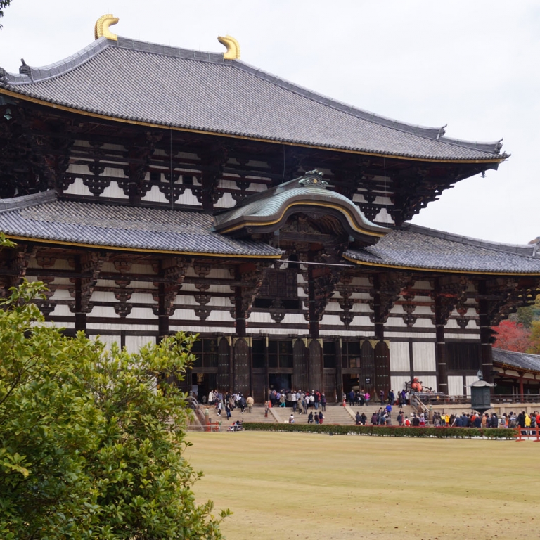 Самый большой по размерам храм Японии - ТодайДзи; Нара