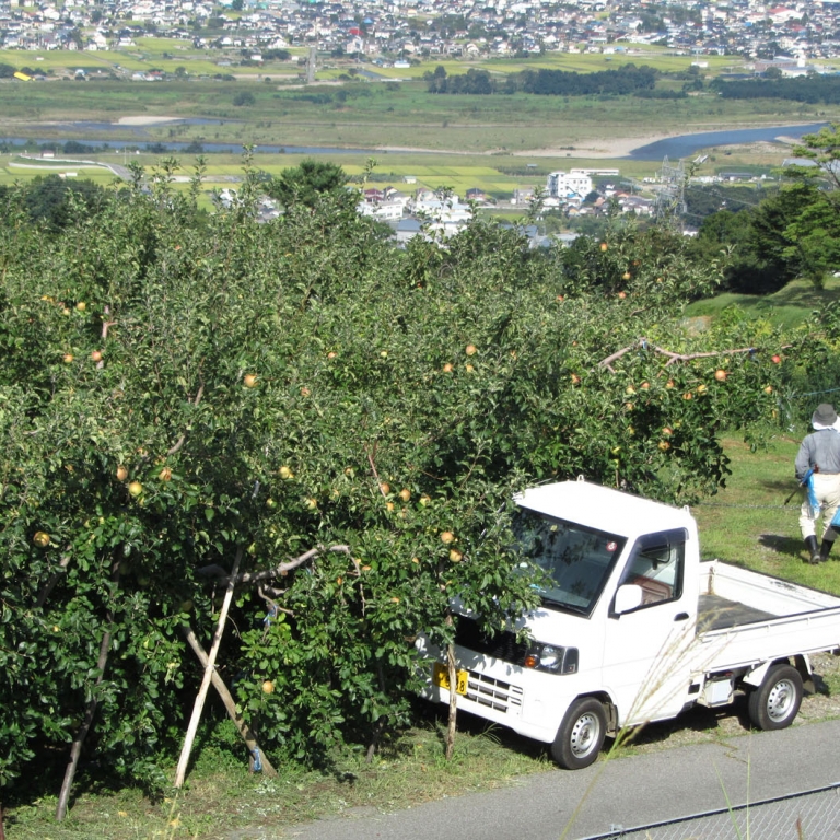 Типичный фермерский автомобиль-труженик; Нагано