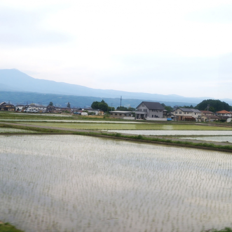 Посадки риса; Нагано