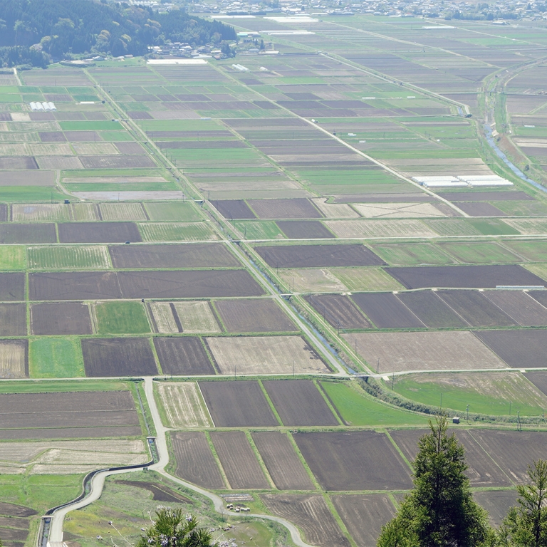 Правильной формы поля в долине у г.Асо, Кумамото