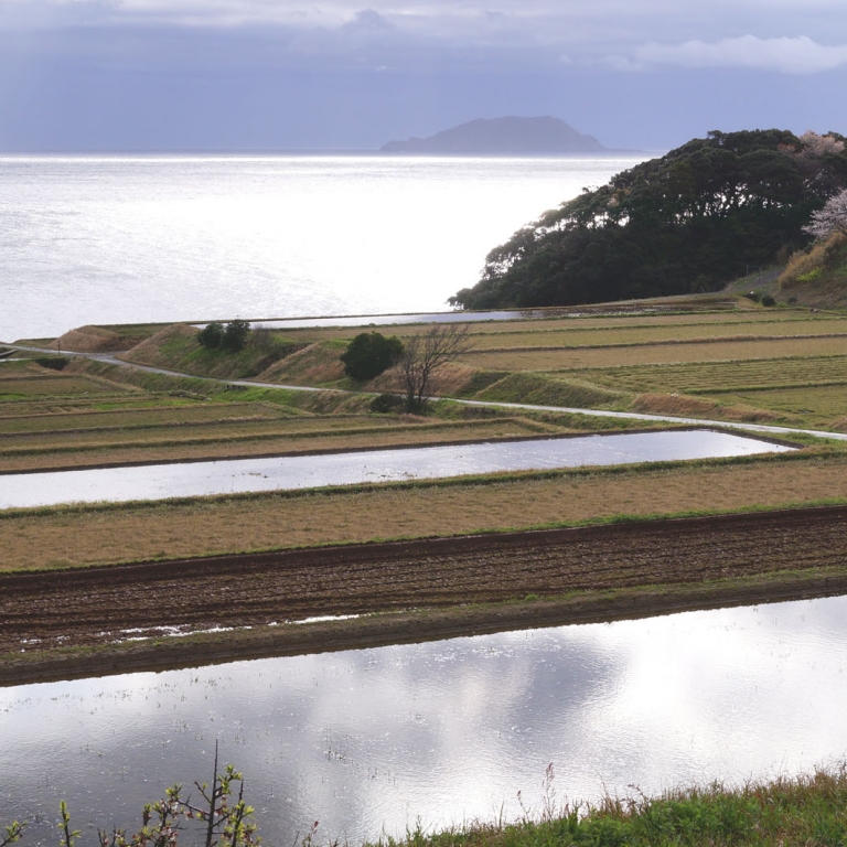 Рисовые поля под водой на фоне Японского моря; Киото