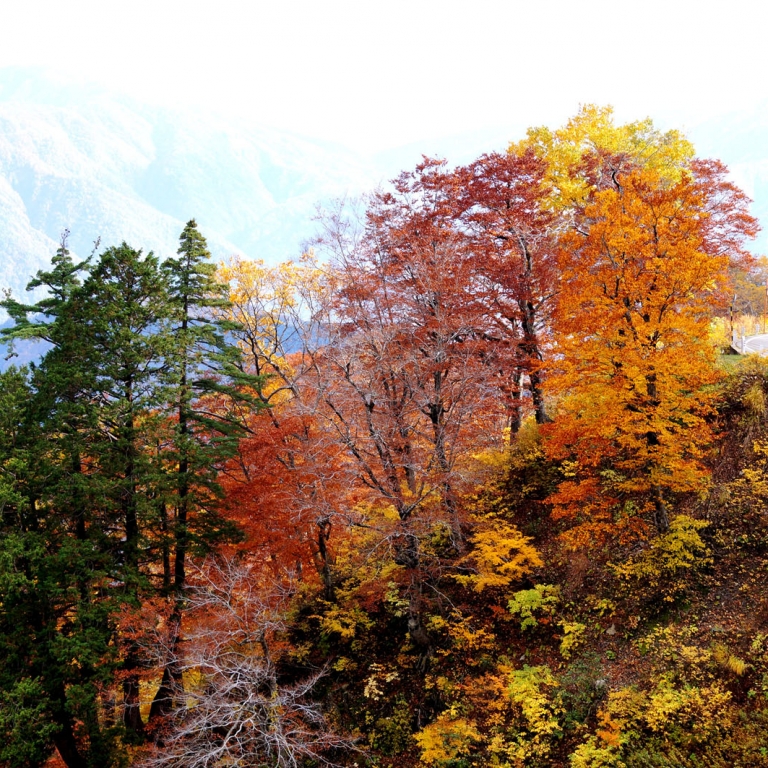 Осень в горах; Исикава