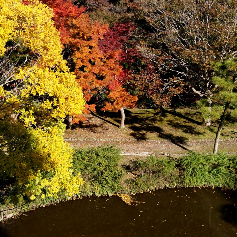 Осеннее многоцветье в парке в Мито; Ибараки