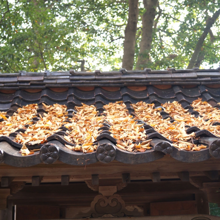 Горки листьев на крыше храмовой постройки в Вадзима; Исикава