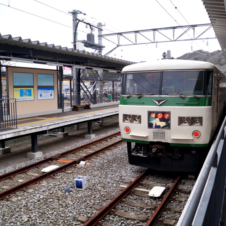 Фирменный поезд Идзу-но-Одорико, идущий из столицы на юг полуострова Идзу; Сидзуока