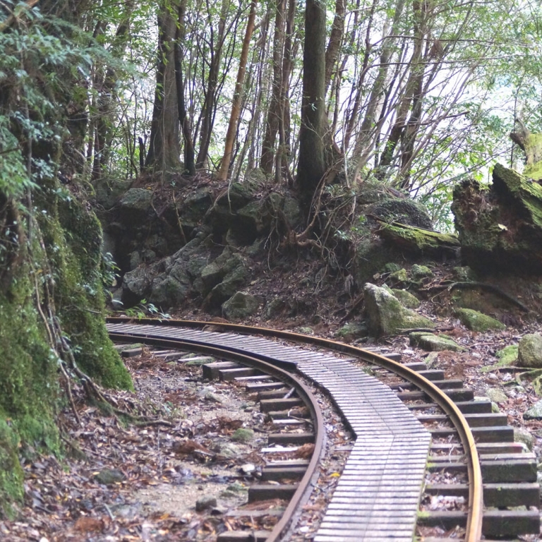Заброшенная в 70-е годы 20-го века лесная железная дорога на о.Якусима; Кагосима