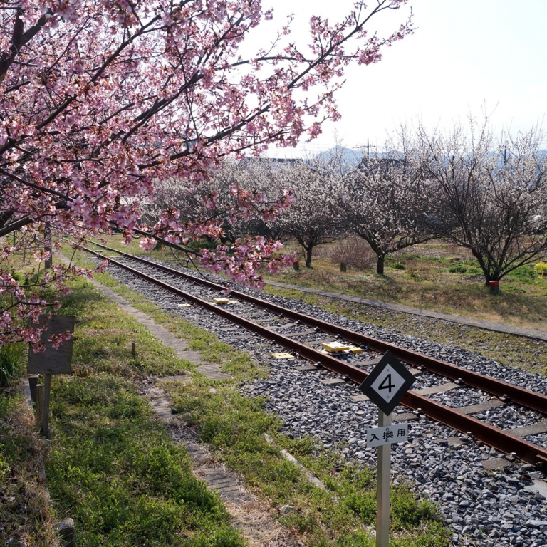 У конечной остановки КадзусаКамэяма линии Курури JR; Тиба