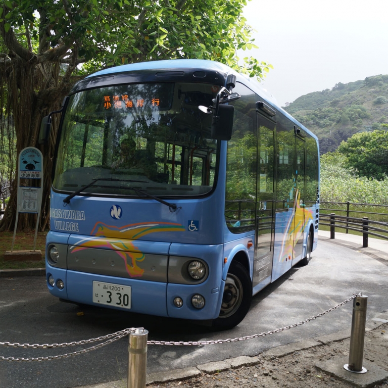 Городской автобус на о.Титидзима; Токио