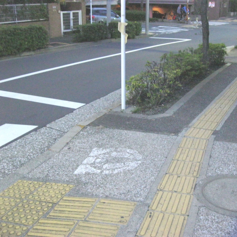 Дорожки для незрячих проложены по всей территории Японии; Токио