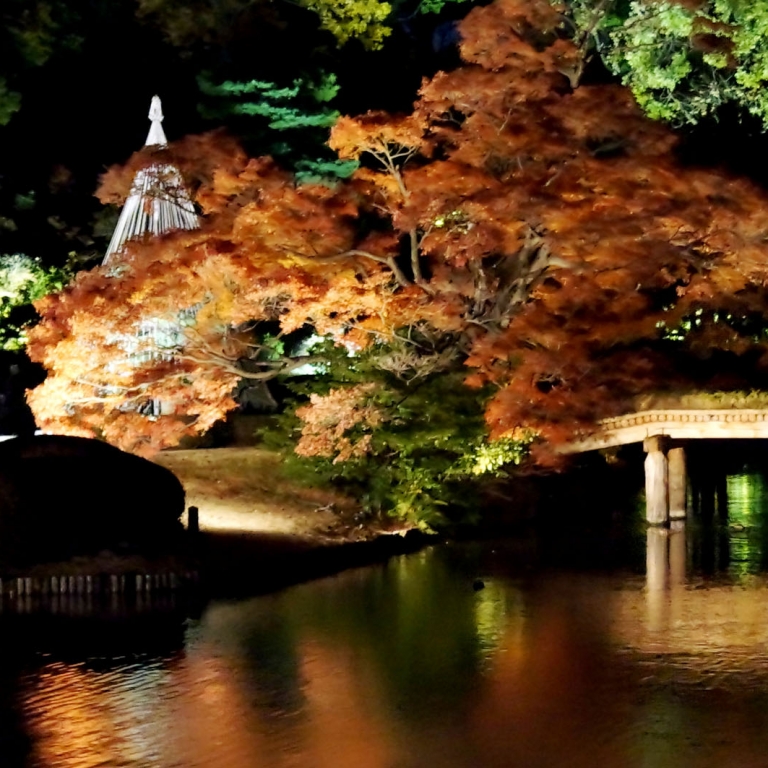 Осенняя подсветка сада РикугиЭн; Токио