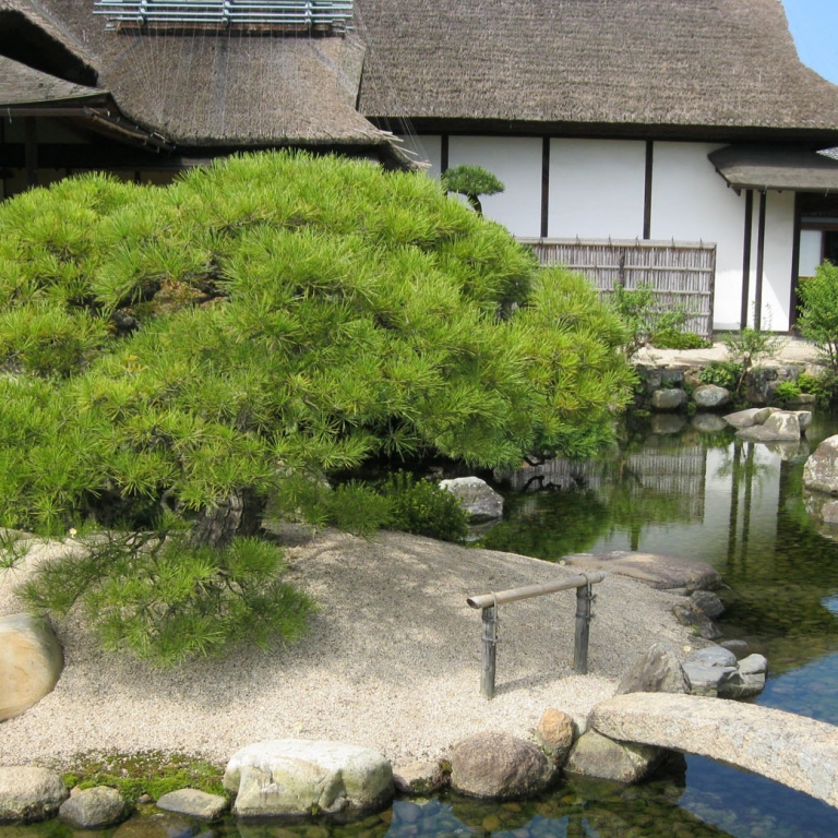Разные элементы сада в одном кадре, на примере КоракуЭн; Окаяма
