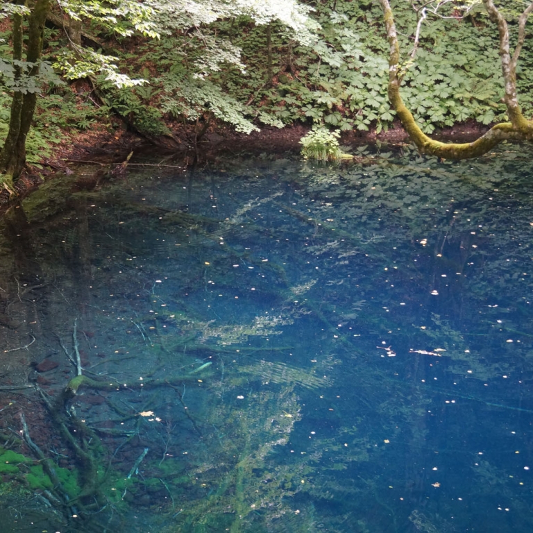 Прозрачное озерцо - одно из Двенадцати Озер; Аомори
