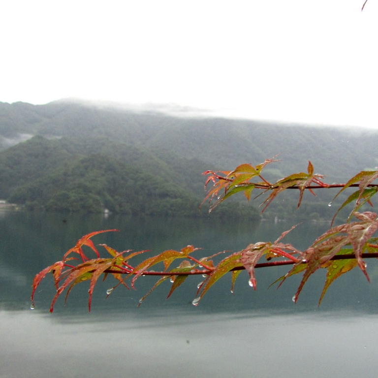 Тихое озеро Аоки дождливым утром; Нагано