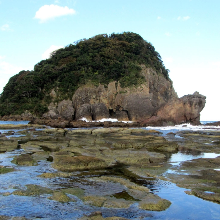 Скала-черепаха в КасумиОнсэн; Хёго