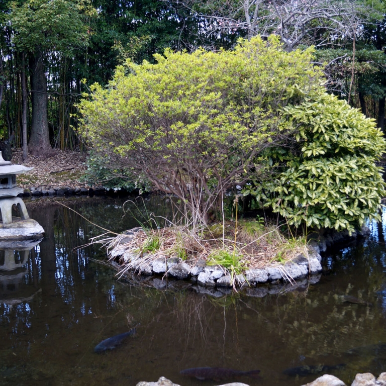 Крохотный островок и фонарь в японском саду в Мисима; Сидзуока