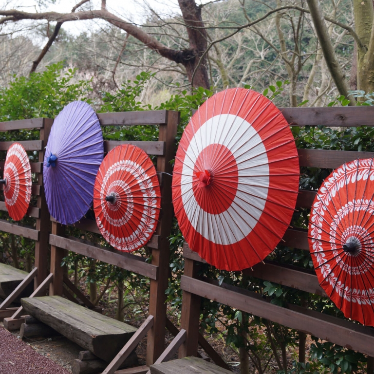 Традиционные японские зонты; Сидзуока