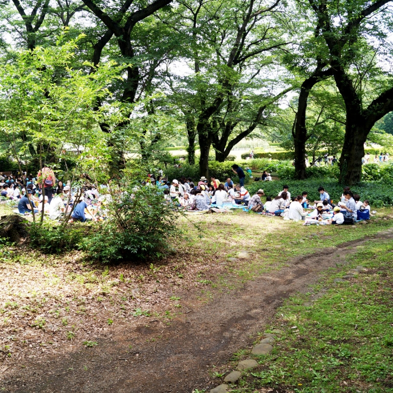 Школьные занятия и обед в парке; Токио